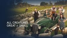 All Creatures Great and Small