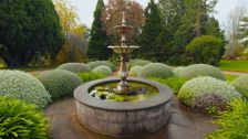 S35 E10: Autumn: Beginner Gardeners and Old Hands Alike