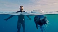 S1 E7: Ultimate Predator