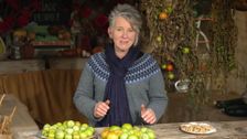 S35 E11: Autumn: Feathered Friends and Carnivorous Plants