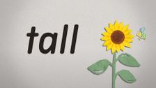 S2 E46: Tall