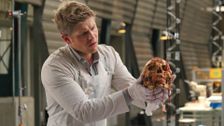 S11 E5: The Resurrection in the Remains