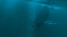 S1 E4: Saguenay