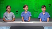 S19 E42: It's Academic