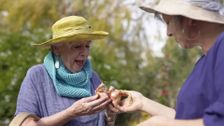 S36 E8: Autumn: Easter Treats & Maggie Beer