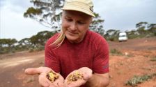 S3 E10: Aussie Gold Hunters