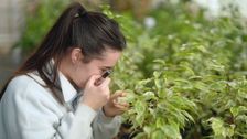 S34 E34: Gardening Australia