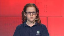 S20 E65: It's Academic