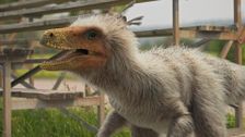 S1 E1: Chickenosaurus Rex: Part 1
