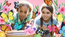 S2 E9: Butterfly Bonanza