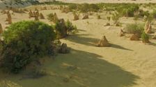 S4 E11: Noongar Country - The Pinnacles WA