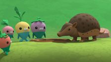 S2 E18: Quest for Cocoa