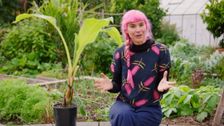 S36 E22: Winter: Habitat Gardens & Plastic Free July
