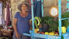 S29 E15: Gardening Australia