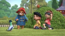 S2 E2: Paddington Becomes a Secret Agent