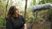 S33 E15: Deborah Wace