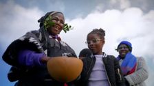 S34 E28: Gardening Australia
