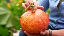 S36 E7: Autumn: Indoor Stunners & Bruny Island