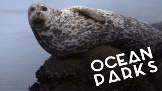 Ocean Parks