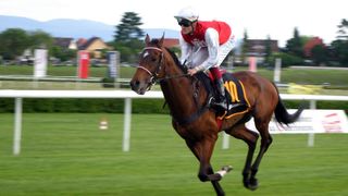 Flashback - Victoria Derby