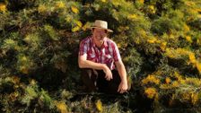 S35 E35: Gardening Australia