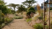 S37 E13: Autumn: Iconic Foliage Garden & Begonias