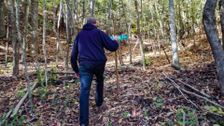 S1 E7: Bigfoot Hunters