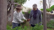 S33 E30: Eaton Hil Edible Exchange (Katie Irwin)