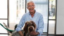 S11 E6: Paul O'Grady: For the Love of Dogs