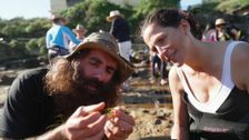 S32 E37: Seaweed, Subtropical Substitute & Native Garden