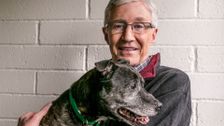S6 E1: Paul O'Grady: For the Love of Dogs