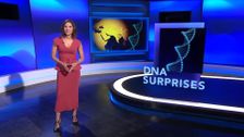 S2018 E35: DNA Surprises