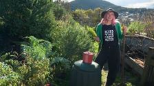 S36 E34: Gardening Australia