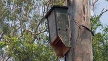 S28 E26: Wildlife-Friendly Gardens, Small Spaces, Big Ideas & Truffles