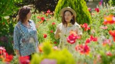 S36 E28: Spring: Greenhouse Reveal & A Poppy Paradise
