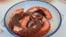 S2022 E1: Pickled Octopus