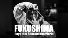 Fukushima: Days That Shocked the World