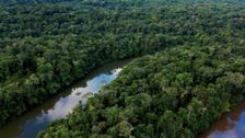 S1 E3: Return to the Amazon