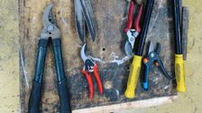 S32 E4: Gardening Australia