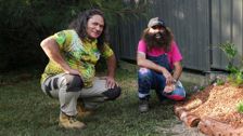 S2026 E23: A Celebration of Australian Native Plants