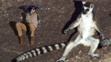 S1 E34: Andy and The Ring Tailed Lemurs