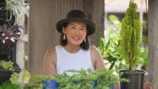 S35 E26: Spring: Rare Orchids & Bushfood Delights