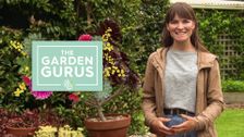 The Garden Gurus