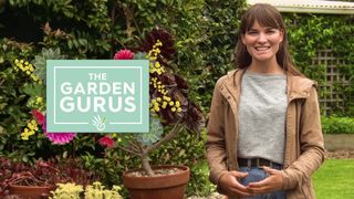 The Garden Gurus