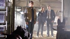 S4 E4: The Finger in the Nest