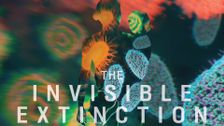 The Invisible Extinction