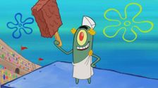 Spongicus
