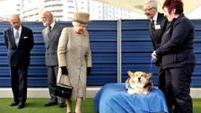 S4 E8: Paul O'Grady: For the Love of Dogs