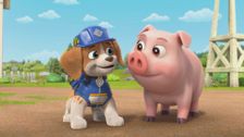 S1 E10: The Crew Builds a Pig Barn; The Crew Builds a Giant Runway