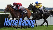 Seven's Horse Racing